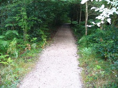 El Camino a Roncesvalles